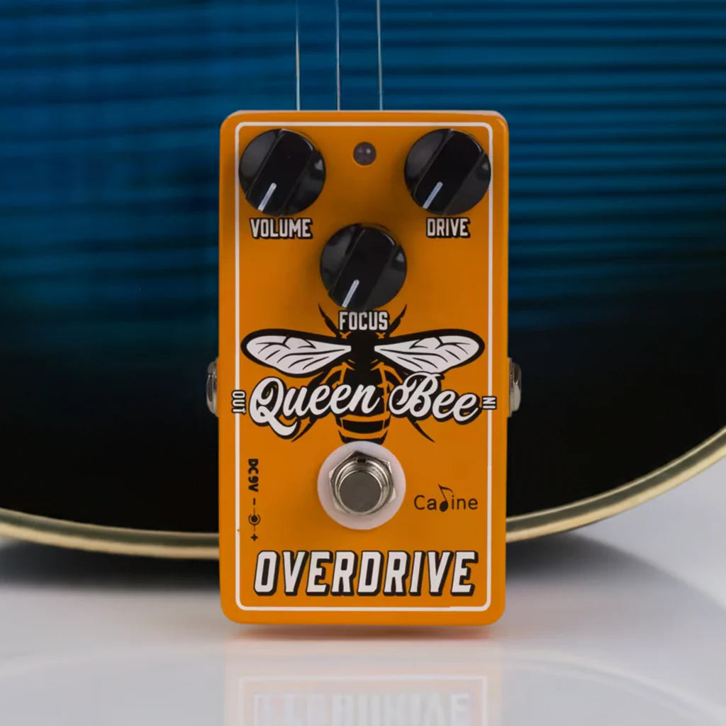 Caline CP-503 Queen Bee Overdrive – Dynamic Tube-Style Drive for Blues & Rock