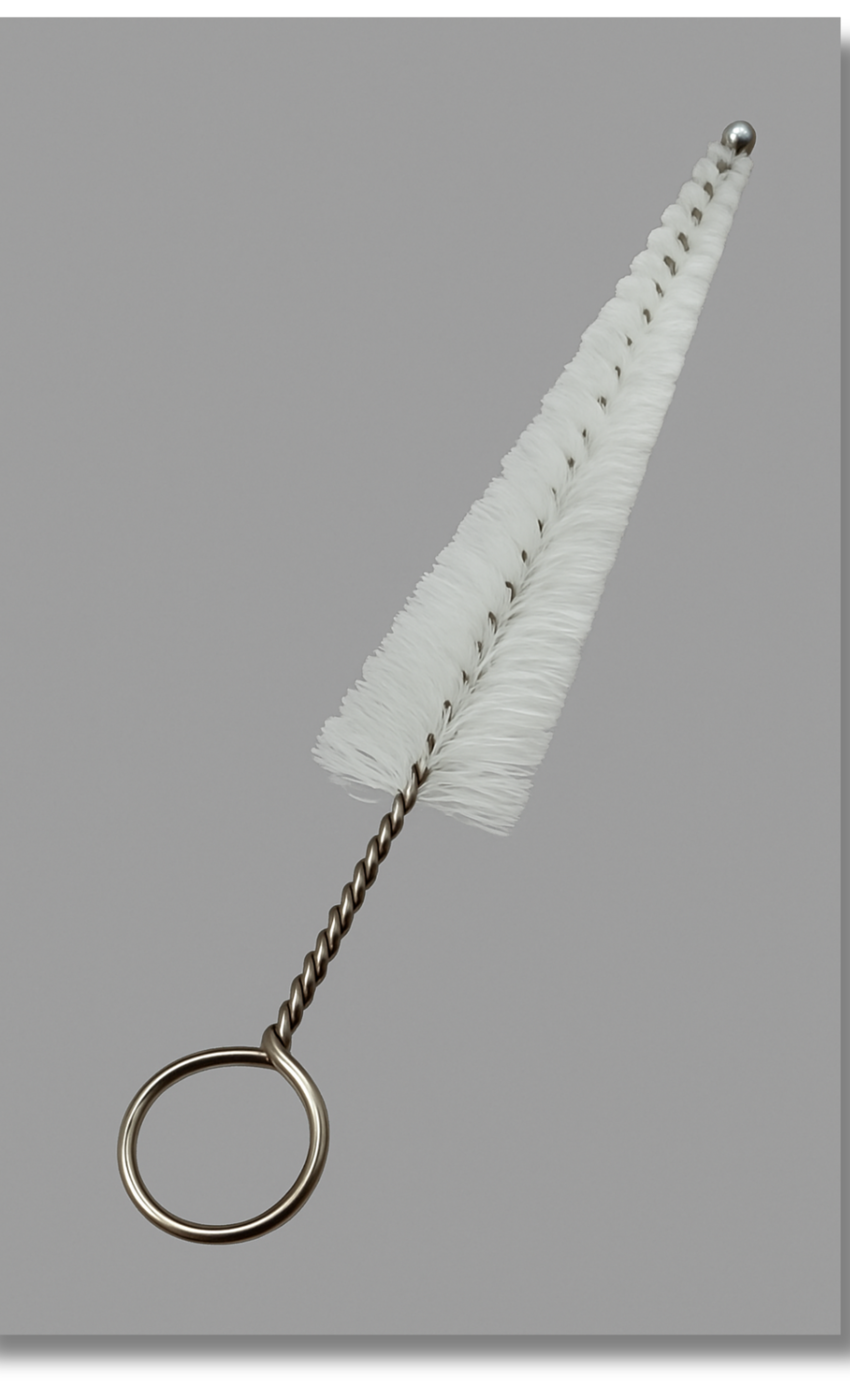 Trumpet Cleaning Kit - Cleaning Snake, Mouthpiece Brush, Valve Casing Brush